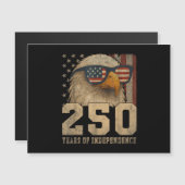アメリカ国旗 イーグル ビンテージ 250周年 177 (正面/裏面)
