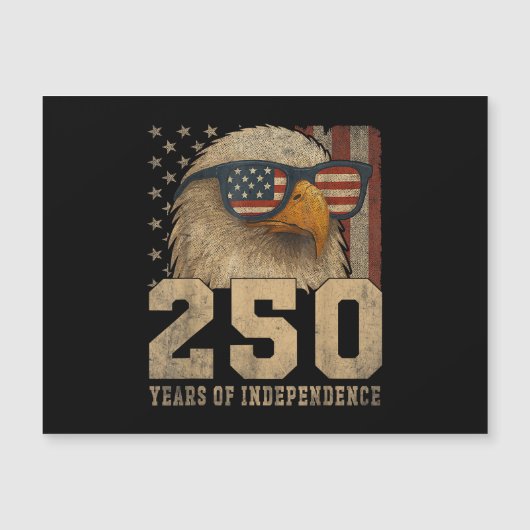 アメリカ国旗 イーグル ビンテージ 250周年 177 (正面)