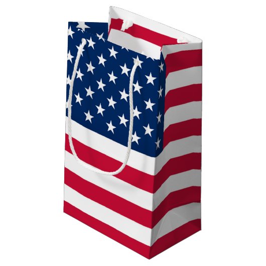 アメリカ国旗 ギフトバッグ 愛国者 (裏面アングル)