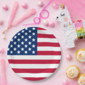アメリカ国旗 ペーパープレート (パーティー)