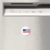 アメリカ国旗 マグネット (インサイチュ (食洗機))
