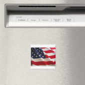 アメリカ国旗 マグネット (インサイチュ (食洗機))