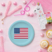 アメリカ国旗 愛国パーティー 紙皿 (パーティー)