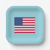アメリカ国旗 愛国パーティー 紙皿 (正面)