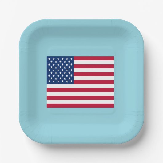 アメリカ国旗 愛国パーティー 紙皿 (正面)