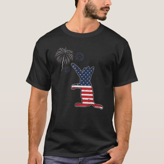 アメリカ国旗 愛国的な猫の花火 7月4日 Tシャツ (正面)