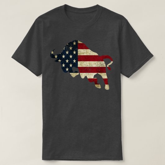 アメリカ国旗 Tシャツ (デザイン正面)