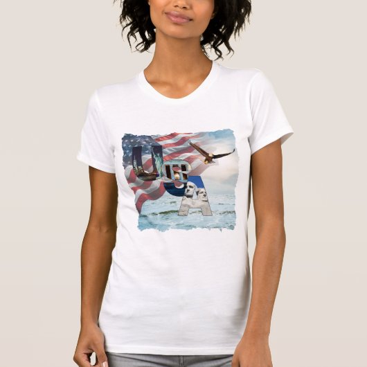 アメリカ国旗 USA 歴史的ランドマーク 女性用 Tシャツ (正面)