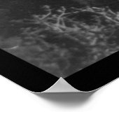 アメリカ大学ベイルート、レバノン1921 ポスター (角)