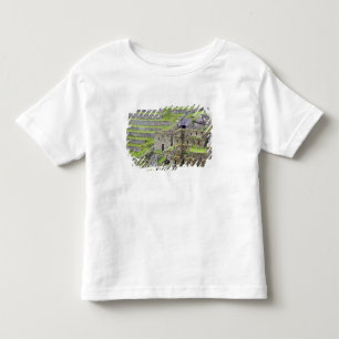 アメリカ大陸、ペルー、マチュピチュ。古代の遺跡2つ トドラーTシャツ
