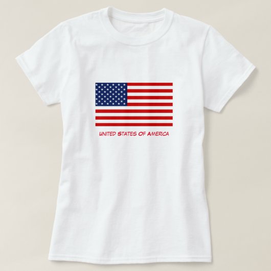 アメリカ女性用Tシャツ Tシャツ (デザイン正面)
