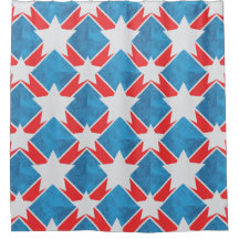 アメリカ家族愛国的な夏休み