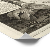 アメリカ帝国 ポスター (角)