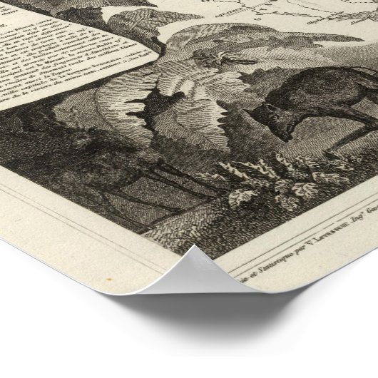 アメリカ帝国 ポスター (角)