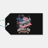アメリカ建国250周年記念飛行機 ギフトタグ (裏面横)