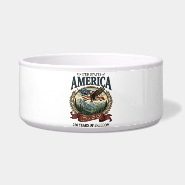 アメリカ建国250周年 ボウル (正面)