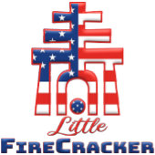 アメリカ建国250周年 リバーサイド・レインクロス Tシャツ