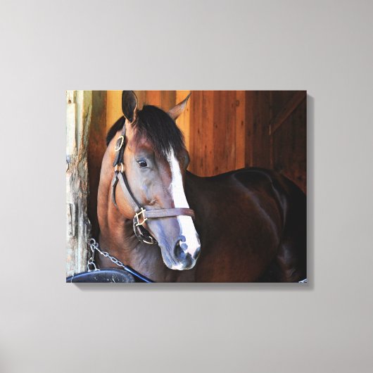 アメリカ愛国者 キャンバスプリント (正面)