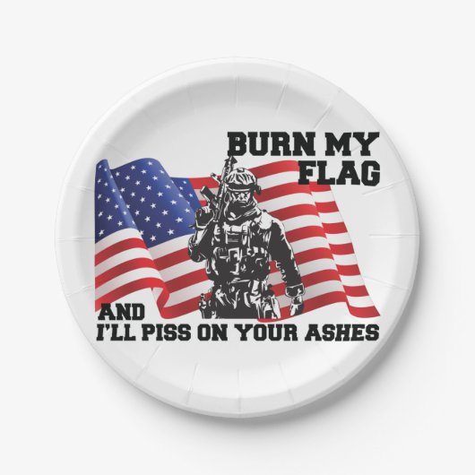 アメリカ愛国者 ペーパープレート (正面)