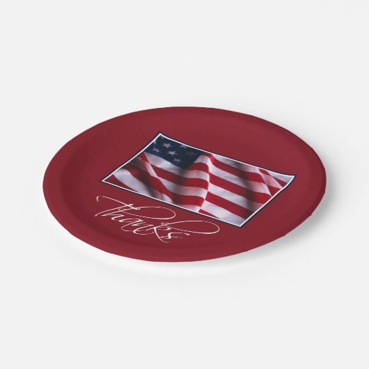 アメリカ感謝してい赤愛国国旗 ペーパープレート (アングル)