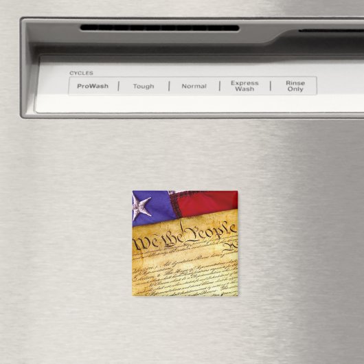 アメリカ憲法 マグネット (インサイチュ (食洗機))