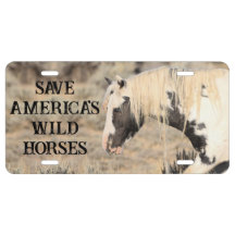 アメリカ救の野生の馬