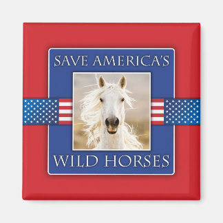 アメリカ救ワイルドウマズスクエアマグネット マグネット
