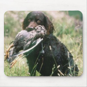 アメリカ水スパニエル犬のマウスパッド マウスパッド