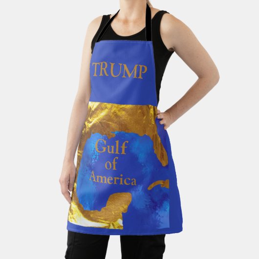 アメリカ湾 エプロン (インサイチュ)