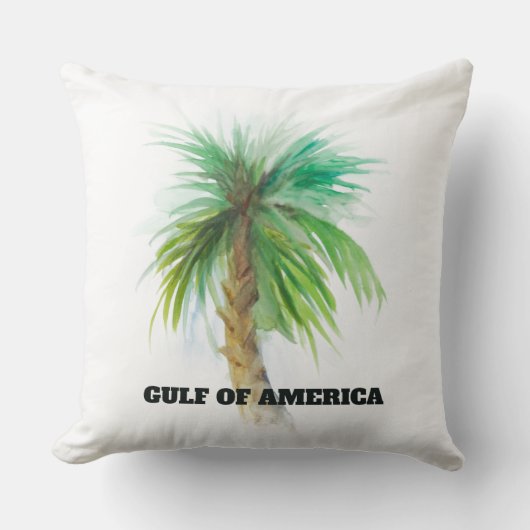 アメリカ湾 クッション (正面)