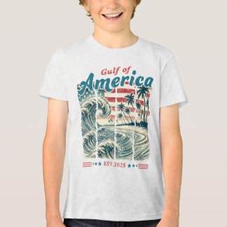 アメリカ湾 トライブレンドＴシャツ