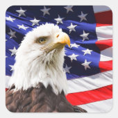 アメリカ独立系のシール スクエアシール (正面)