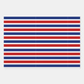 アメリカ独立記念日 ラッピングペーパーシート (正面2)