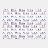 アメリカ独立記念日 ラッピングペーパーシート (正面)