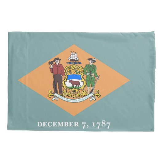 アメリカ独身のデラウェア州愛国的ピラロケース州旗 枕カバー (裏面)