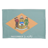 アメリカ独身のデラウェア州愛国的ピラロケース州旗 枕カバー (正面)