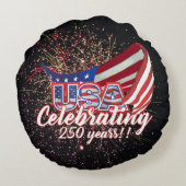 アメリカ生誕250周年 花火のスロー枕 ラウンドクッション (裏面)
