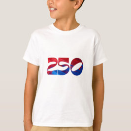 アメリカ生誕250年 赤白ストライプ 青い星 Tシャツ