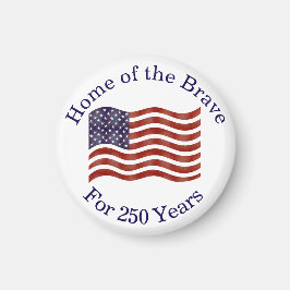 アメリカ生誕250年 #37 マグネット