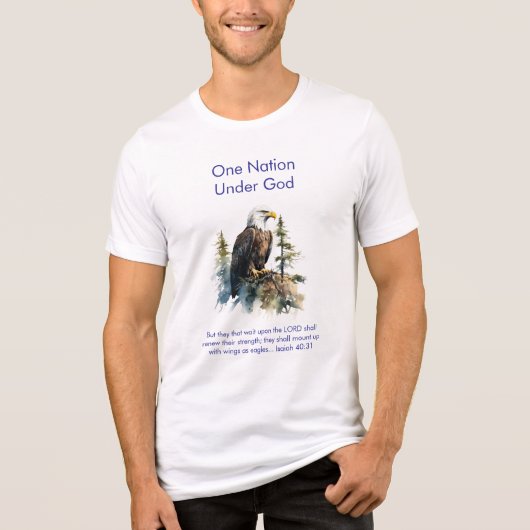 アメリカ生誕250年 #73 トライブレンドTシャツ (正面)