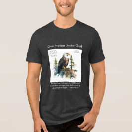 アメリカ生誕250年 #75 トライブレンドTシャツ