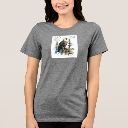 アメリカ生誕250年 #78 トライブレンドTシャツ (正面)