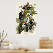 アメリカ産のキツネザル ポスター (キッチン)