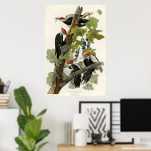 アメリカ産のキツネザル ポスター (ホームオフィス)