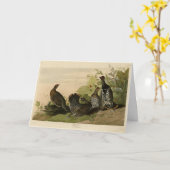 アメリカ産のクロウズオドゥボンの鳥類 カード (黄色い花)