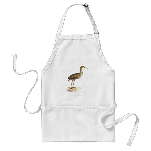 アメリカ産のニワトリ(Botaurus lentiginosus)鳥 スタンダードエプロン (正面)