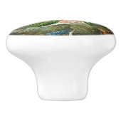 アメリカ産のハミングする鳥絵を描12種 セラミックノブ (側面)