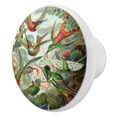 アメリカ産のハミングする鳥絵を描12種 セラミックノブ (右)