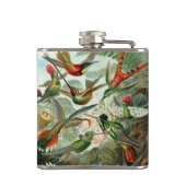 アメリカ産のハミングする鳥絵を描12種 フラスク (裏面)
