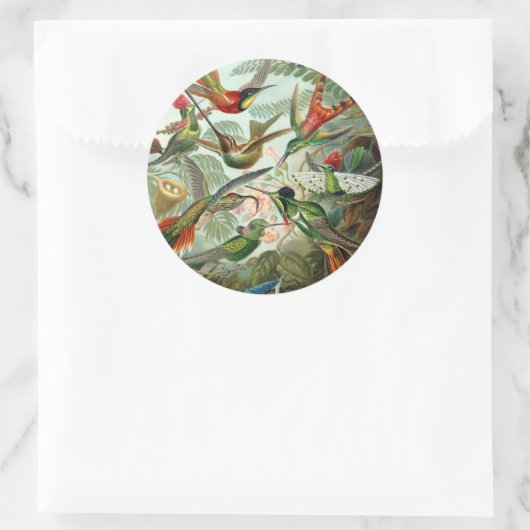 アメリカ産のハミングする鳥絵を描12種 ラウンドシール (バッグ)